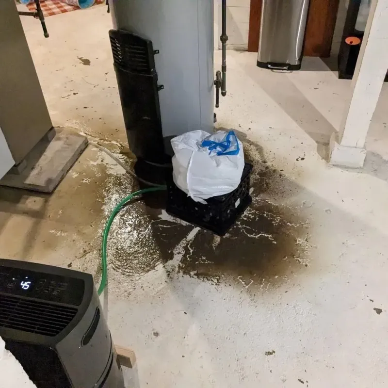 Sewage Backup Cleanup Service in Los Chavez, NM